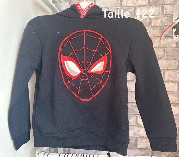 Pull à capuche Spiderman - photo numéro 1