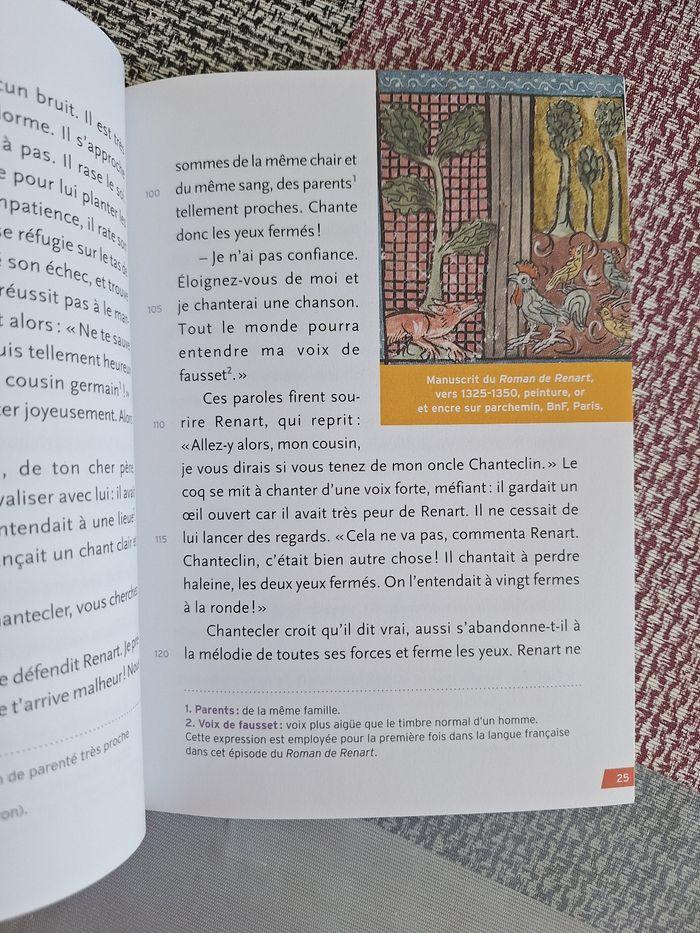 Livre niveau collège Le Roman de Renart - photo numéro 5