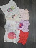 Lot 7 t-shirts manche courte 18 mois