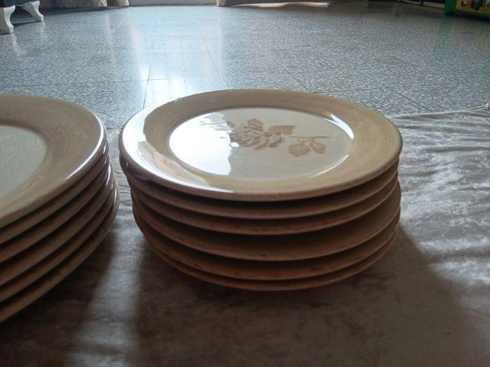 12 assiettes plates - photo numéro 5