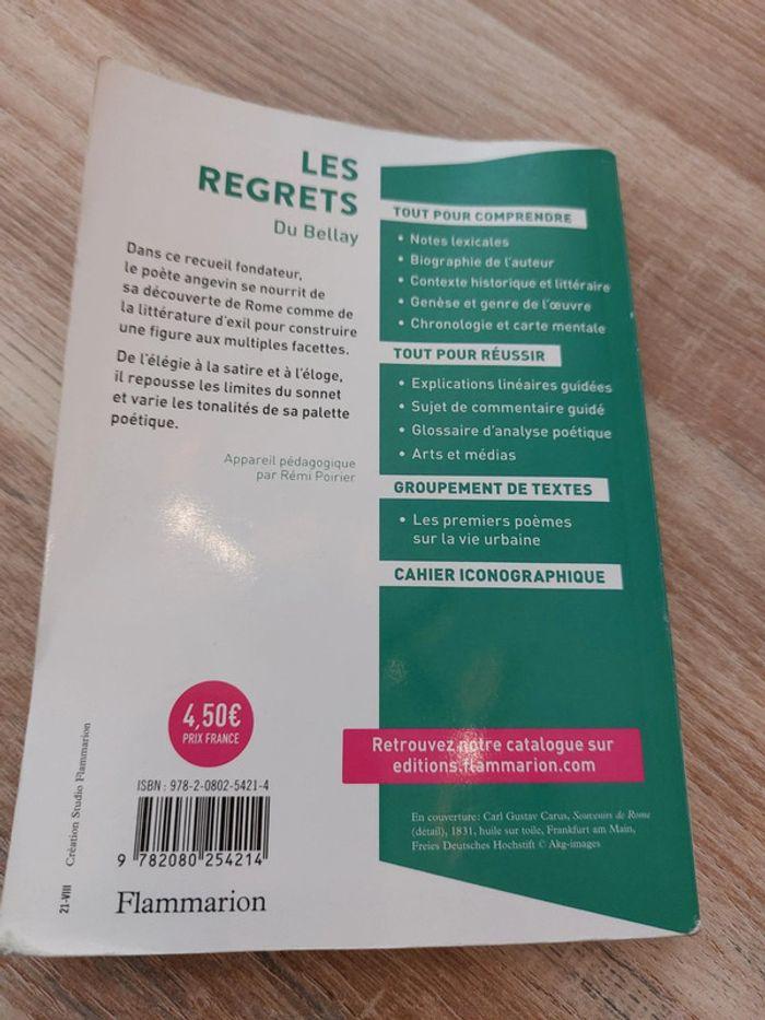 Les regrets du Bellay - photo numéro 2