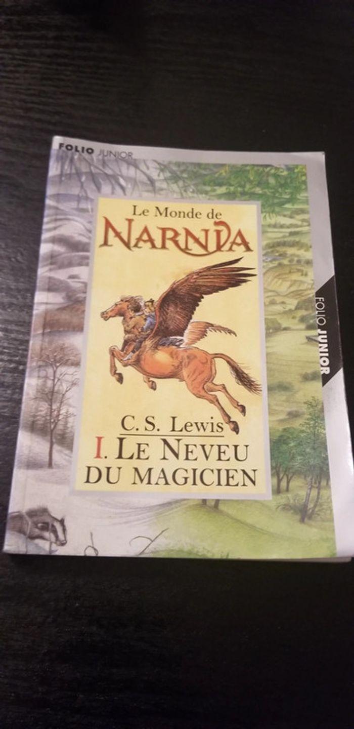 Les chroniques de Narnia - photo numéro 1