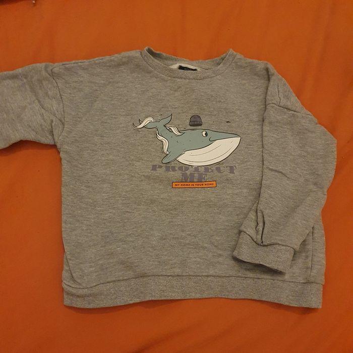 Sweat baleine