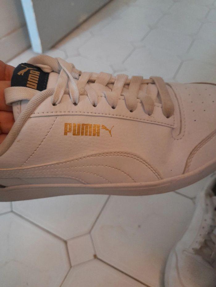 Basket puma en tbe t 41 - photo numéro 5