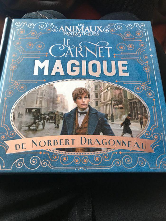 le carnet magique de norbert Dragonneau Harry potter