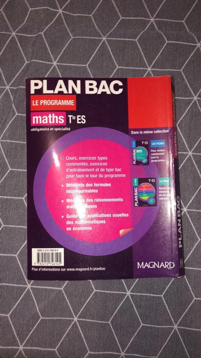 Plan bac maths ES - photo numéro 2