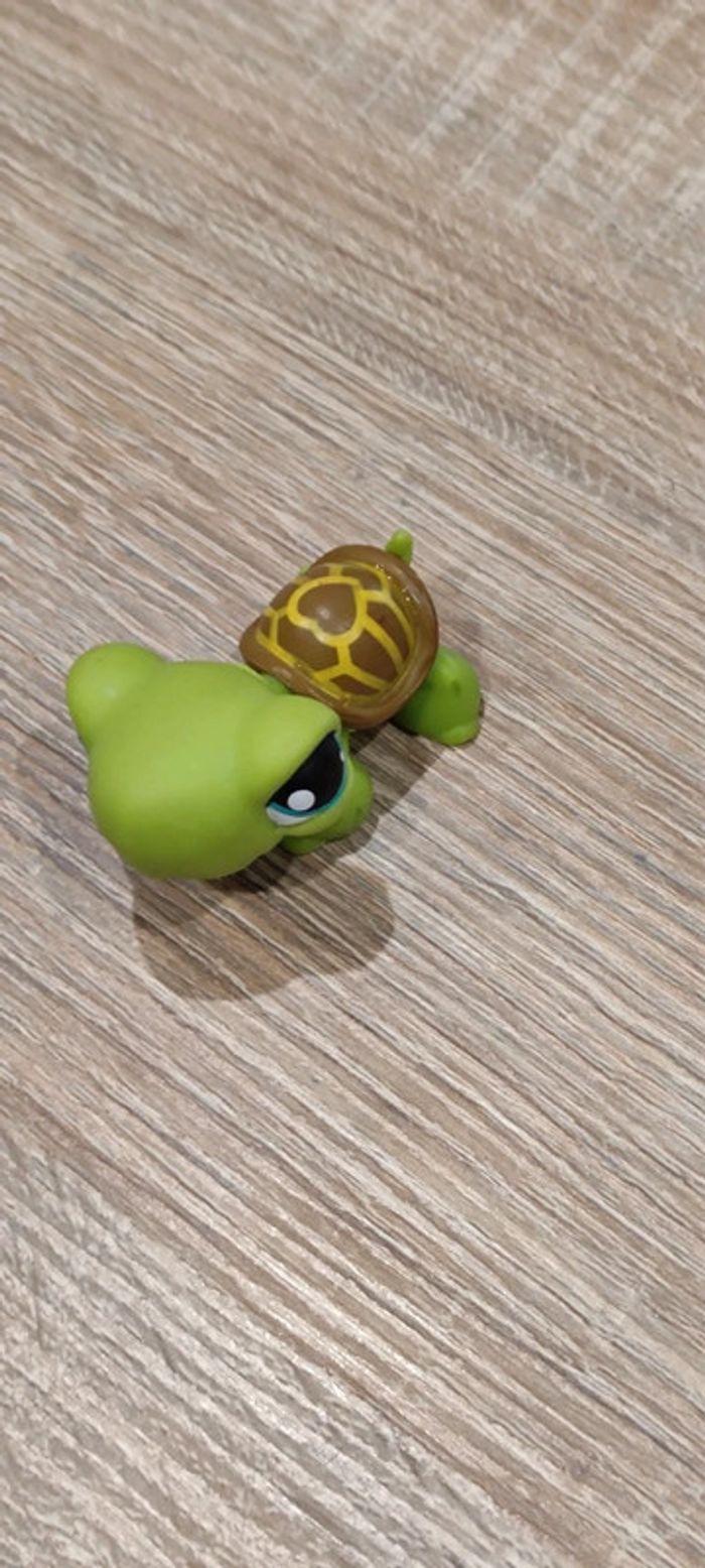 Tortue Littlest Pet Shop - photo numéro 4