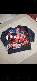 Sweat spiderman