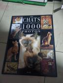 Je livre les chats en 1000 photos