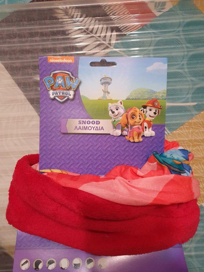 Cache coup paw patrol - photo numéro 2