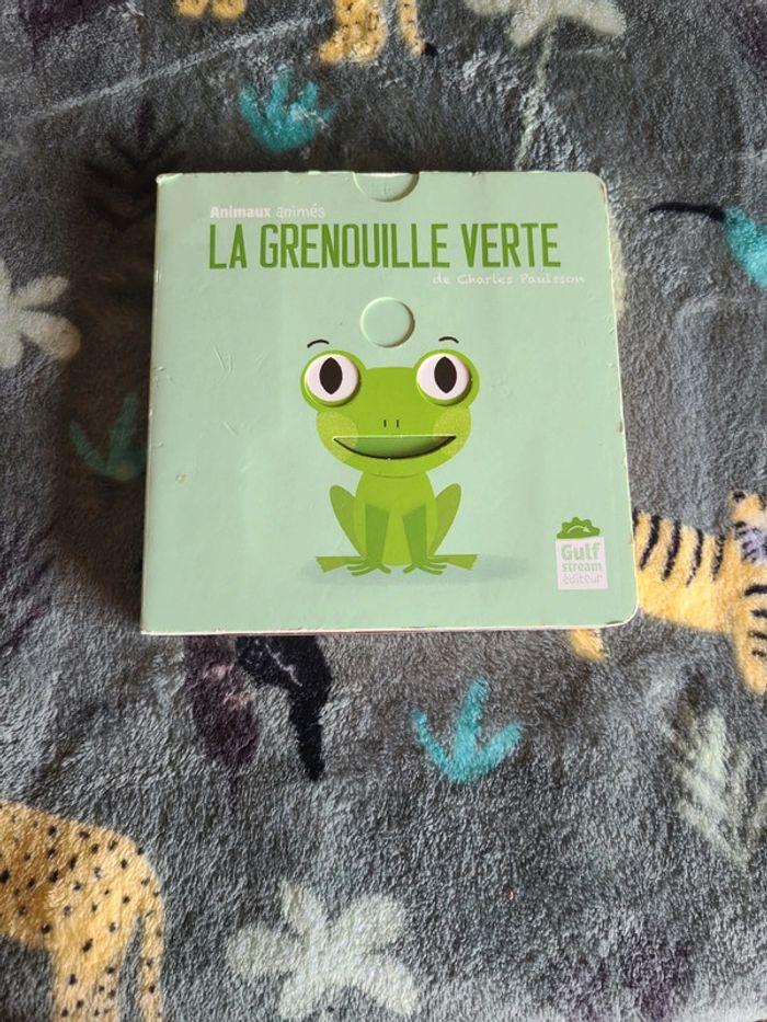 La grenouille verte - photo numéro 1