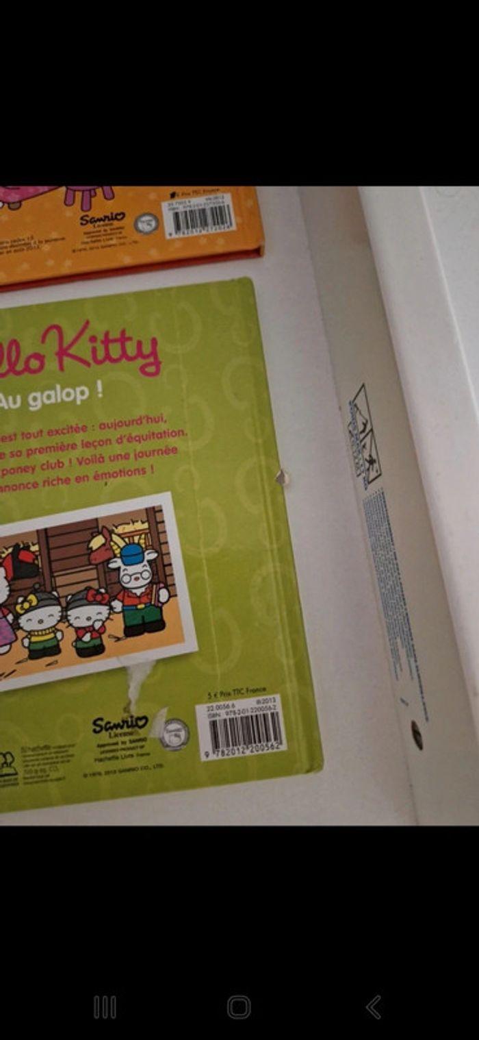 Lot livre hello kitty - photo numéro 4