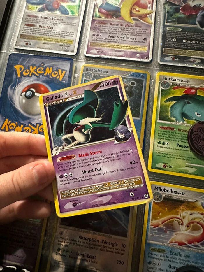 Gallade X - photo numéro 1