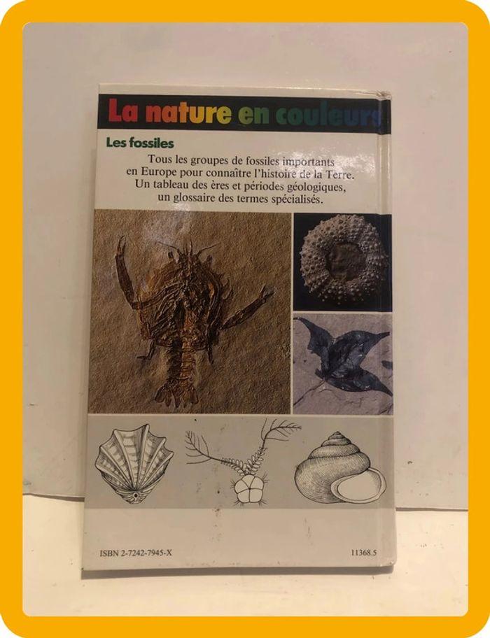 Livre la nature en couleurs les fossiles - photo numéro 2