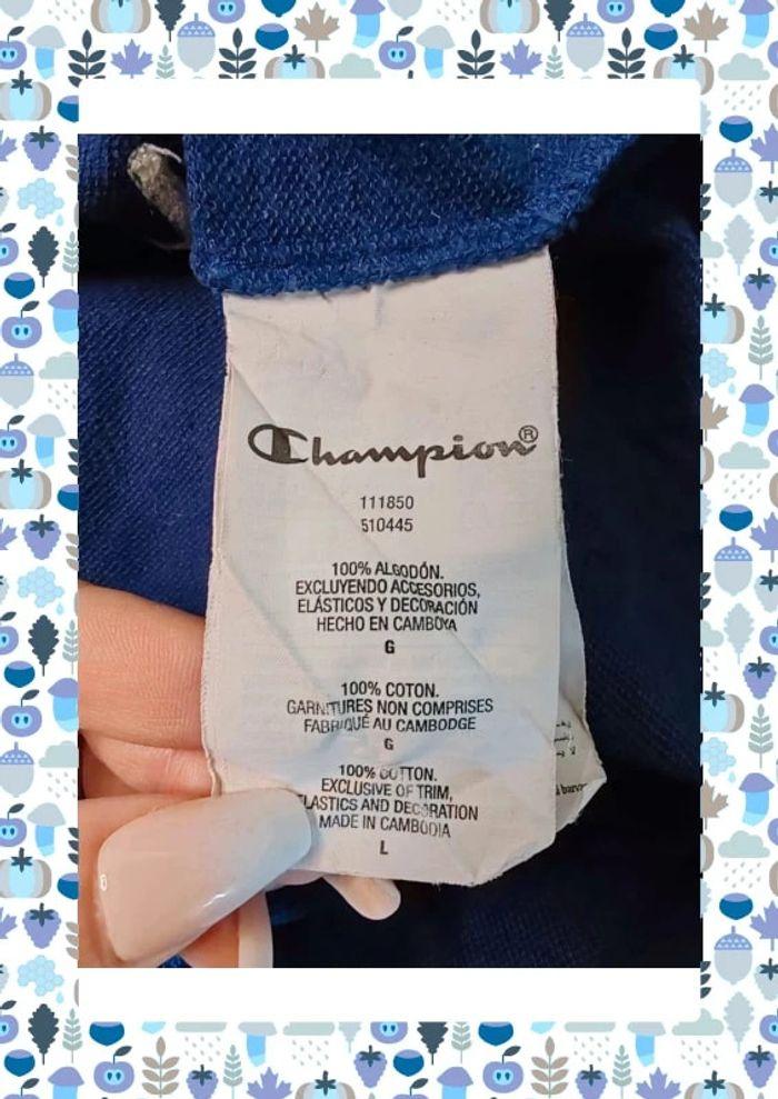 Sweat champion - photo numéro 6