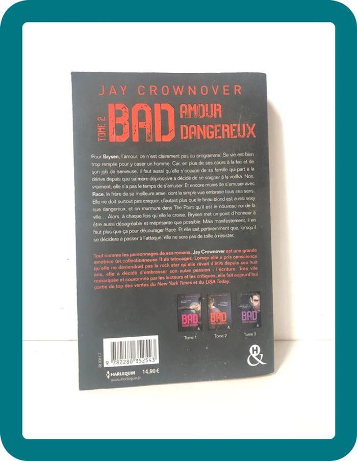 Livre Bad Amour dangereux - photo numéro 3