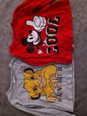 Lot 2 maillots disney