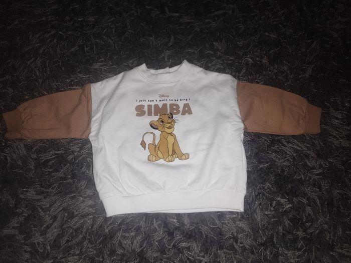 Pull Simba - photo numéro 1