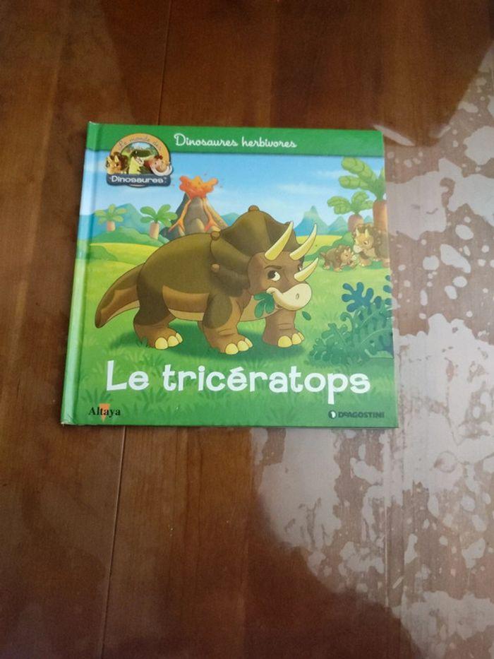 Lot 4 livres sur les dinosaures et mamouth Altaya - photo numéro 5