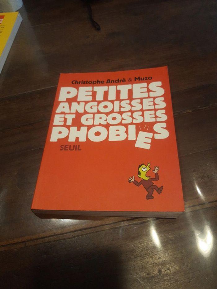 Livre de Christophe André et muzo petitse angoisses et grosses phobies - photo numéro 1