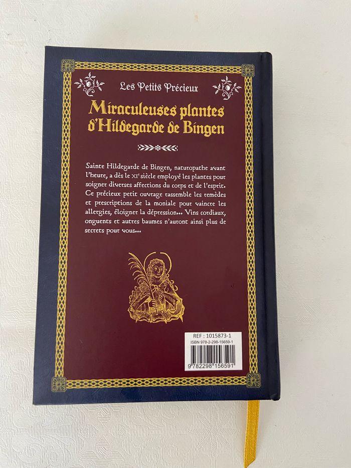 Miraculeuses plantes d'Hildegarde de Bingen : Usages et remèdes - photo numéro 2