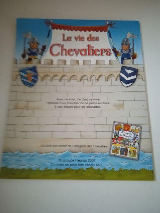 Je joue avec les chevaliers - photo numéro 8