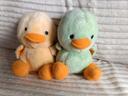 Duo peluche canard - très bon état