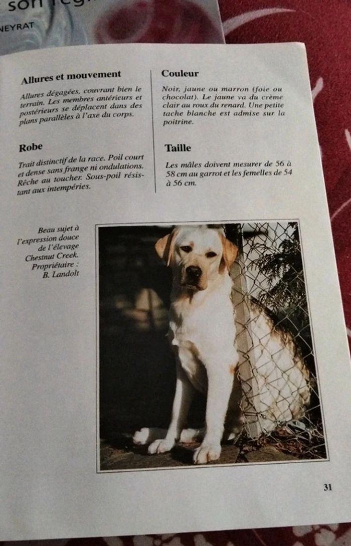 Livre le labrador - photo numéro 3