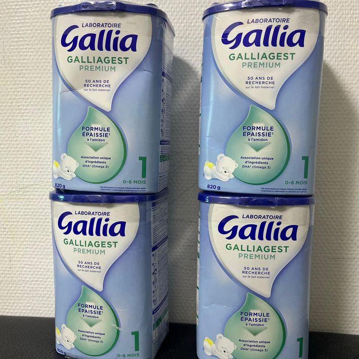 Gallia - photo numéro 4