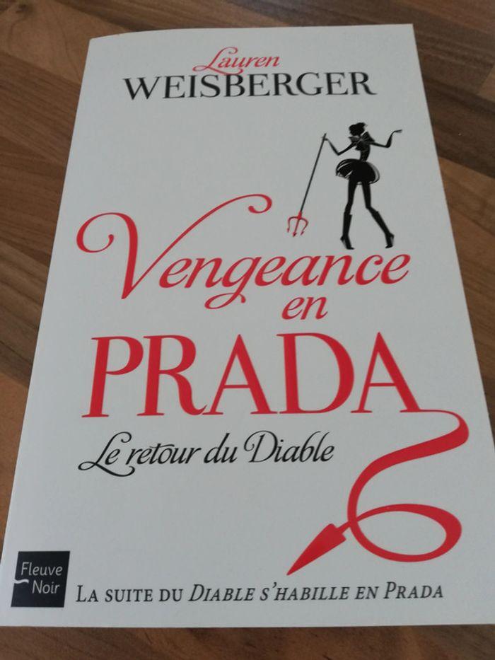 Livre vengeance en prada - photo numéro 1