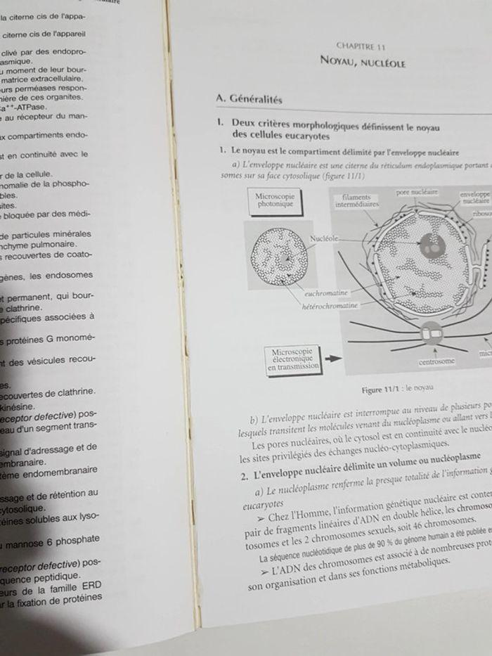 Cours de biologie cellulaire livre de médecine - photo numéro 9