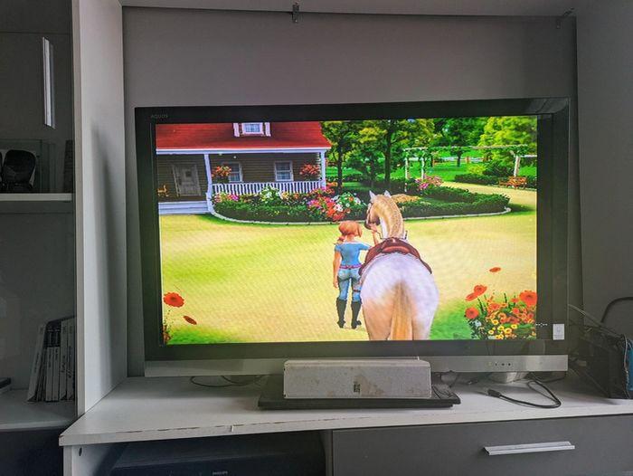 Jeux de ps2 mon cheval et moi - photo numéro 6