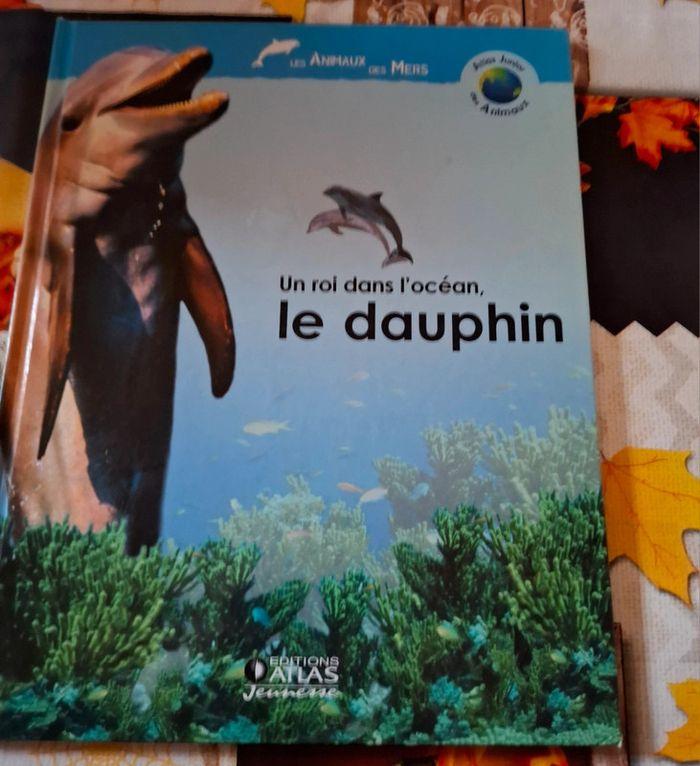 Livre un roi dans  l' océan .Le dauphin - photo numéro 1