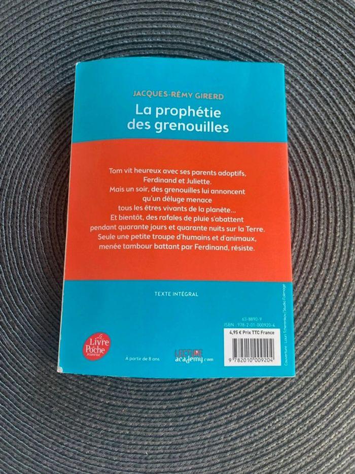 🌼 Livre enfants 《 La prophétie des grenouilles 》 - photo numéro 2