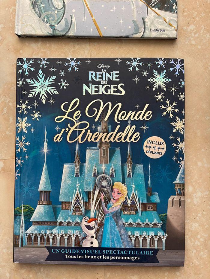 Lot livres reine des neiges - photo numéro 3