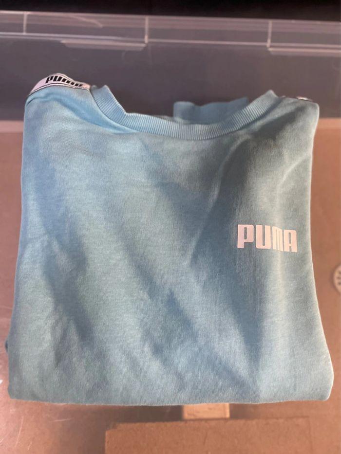 Pull puma - photo numéro 1