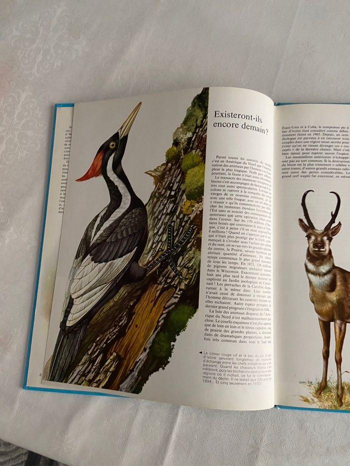 Livre ancien les animaux en voie de disparition 1972 - photo numéro 9