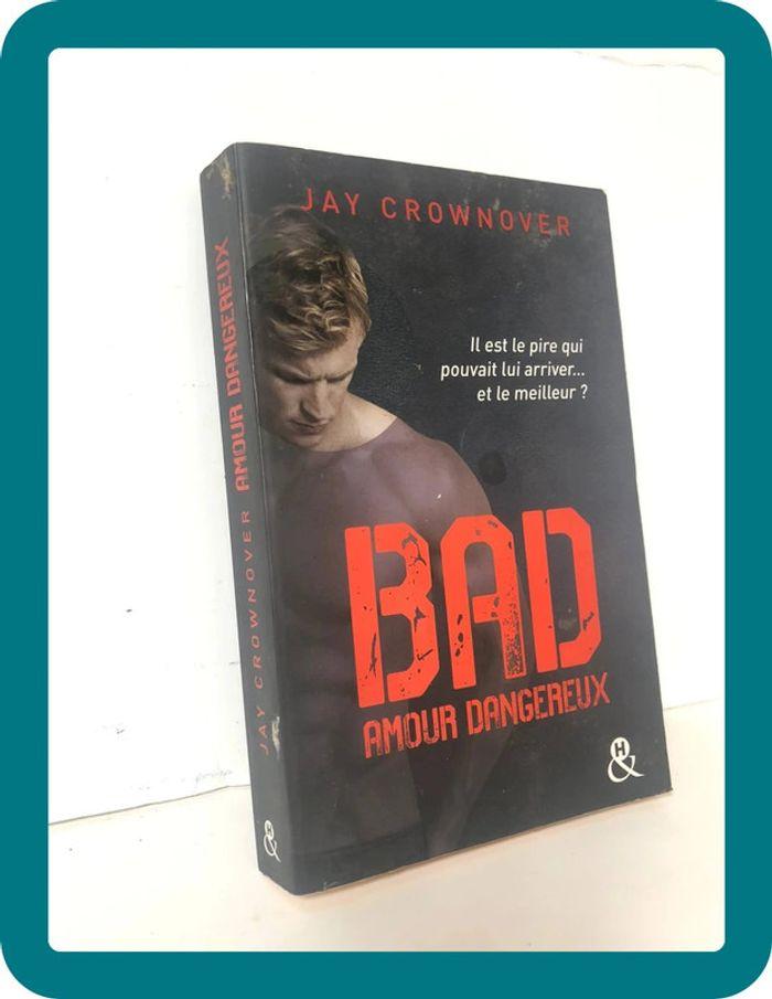 Livre Bad Amour dangereux - photo numéro 2