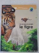 Un roi dans la jungle, le tigre