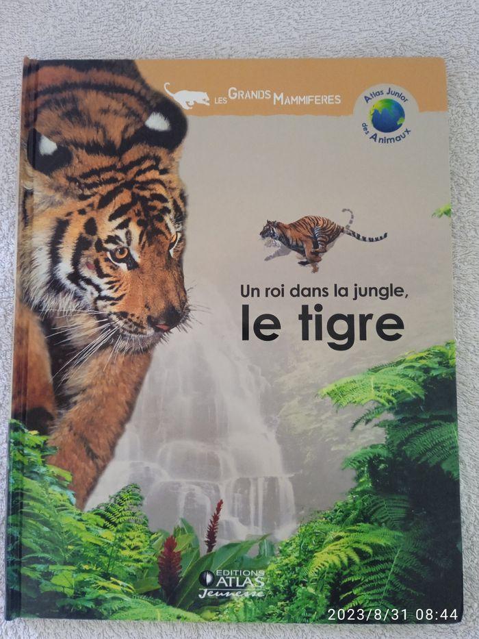 Un roi dans la jungle, le tigre - photo numéro 1