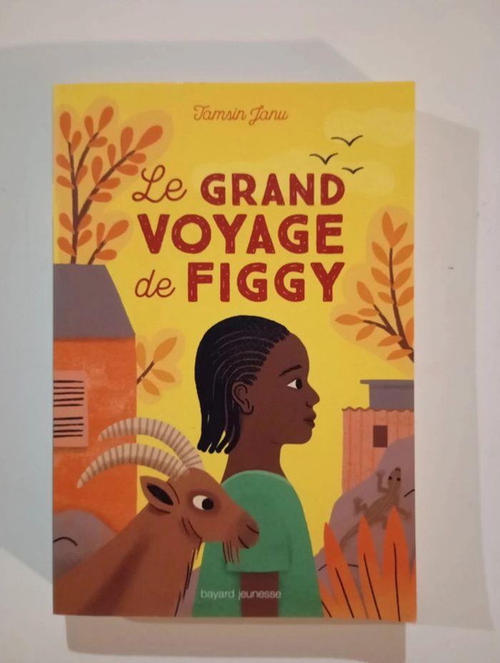 Le grand voyage de Figgy - photo numéro 1