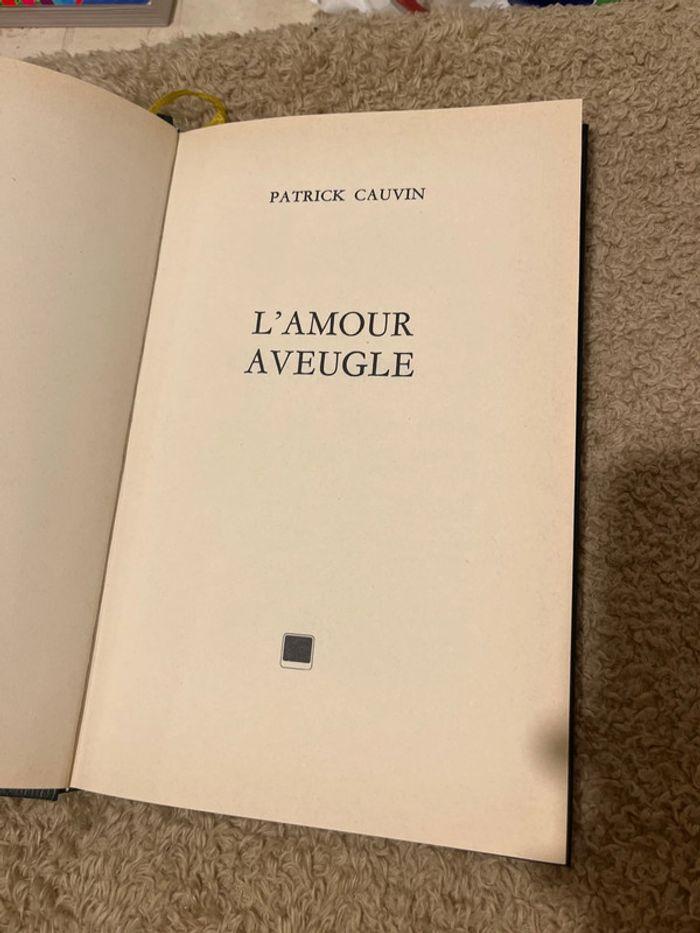 L amour aveugle Patrick Cauvin - photo numéro 2