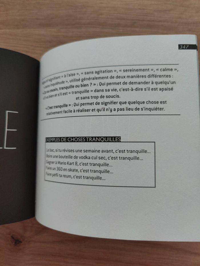 Dictionnaire Ados Français - photo numéro 3