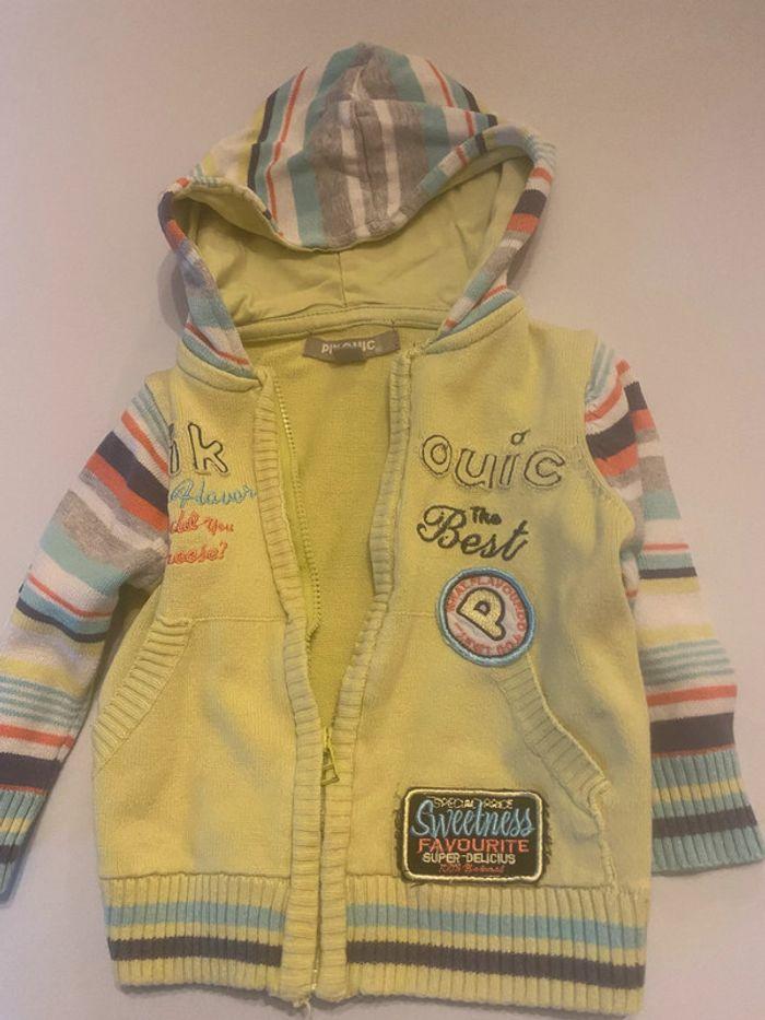 Gilet vert pastel avec capuche et manches rayées pour garçon 9 mois