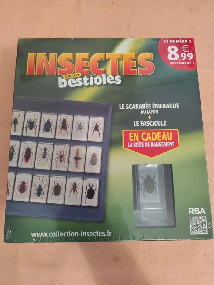 Insectes et autres bestioles n° 1.2.3.4.5.6.7 - photo numéro 3