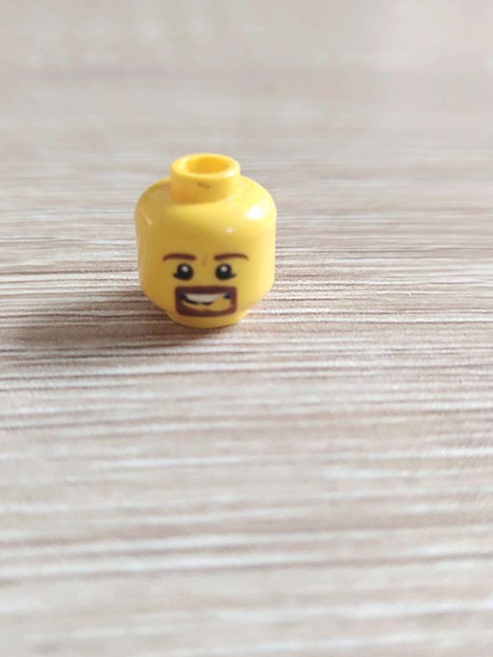 Lego tete minifig 6021675 - photo numéro 2