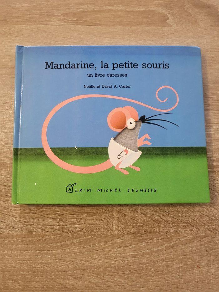 Mandarine la petite souris. - photo numéro 1