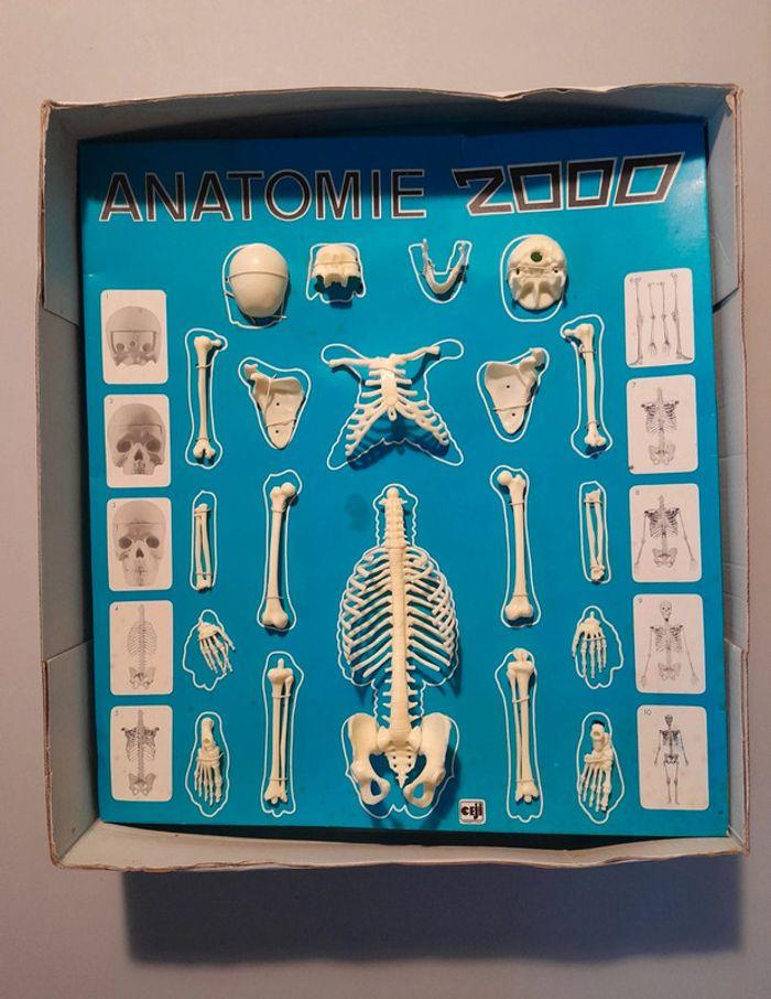 Jeu Éducatif / Anatomie 2000 / CEJI - photo numéro 5