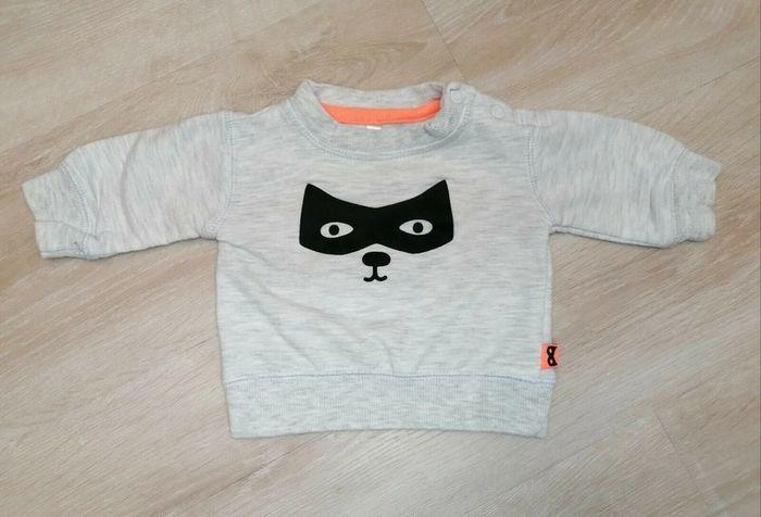 Pull sweet, gris, super chat Zeeman, taille 0 à 1mois (50cm) - photo numéro 1