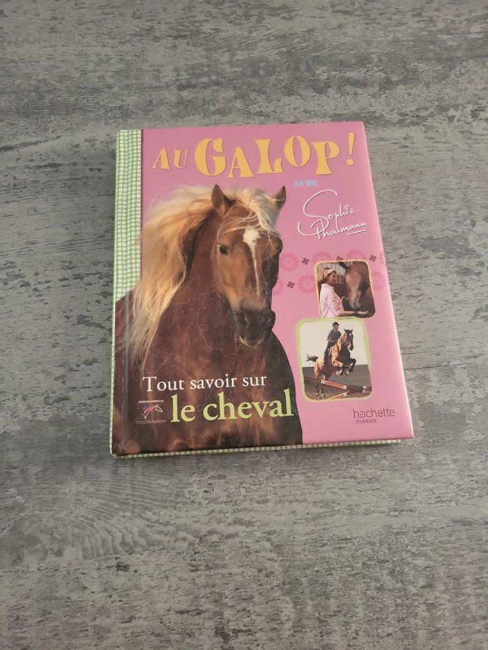 Lot de 2 livres sur les chevaux - photo numéro 2